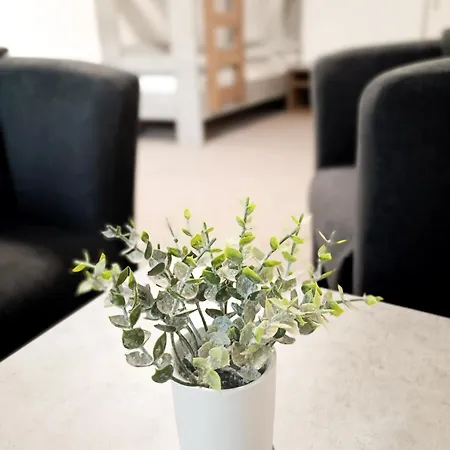 Apartman Zborovska 22 A *